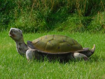 Statue Schildkröte XL - Polystone - Vintage-Look