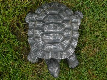 Beeld Schildpad - 32 cm - Magnesia