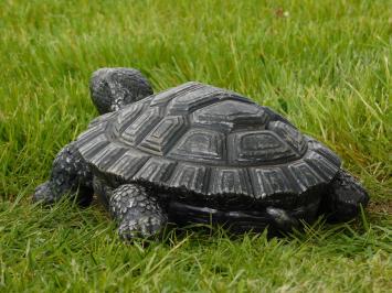 Beeld Schildpad - 32 cm - Magnesia