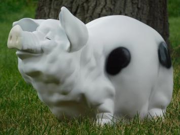 Schwein großes weißes Polystone-Sparschwein