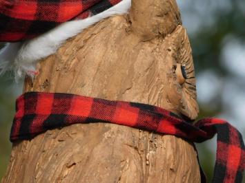 Weihnachtseule auf Baumstamm, Polystone, Woodlook