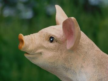 Tuinbeeld varken, geinig beeld, dier met laarzen, tuindecoratie