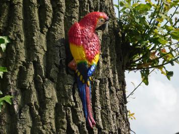 Roter Papagei, Gusseisen, Garten Statue, Tier Skulptur