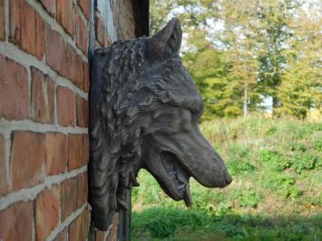 Großer Wolfskopf, sehr schöner Ausdruck, Polystein