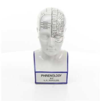 Een porseleinen phrenology hoofd in blauwe kleuring